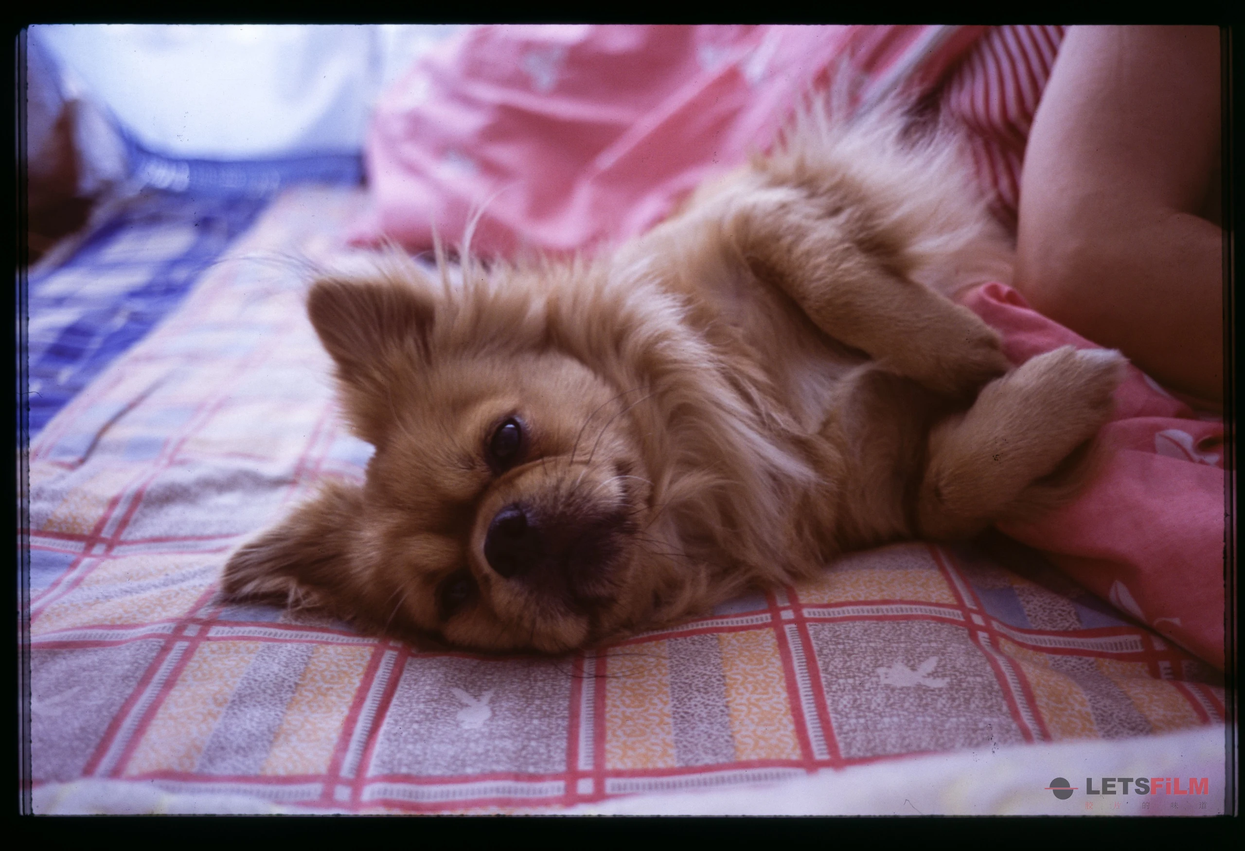 「暗房来信081」 小兄弟们 - 影像 6 | 设备: Nikon FM2, Nikon FM3A, Nikon Nikon 35Ti, Fujifilm Fujichrome Provia 100F