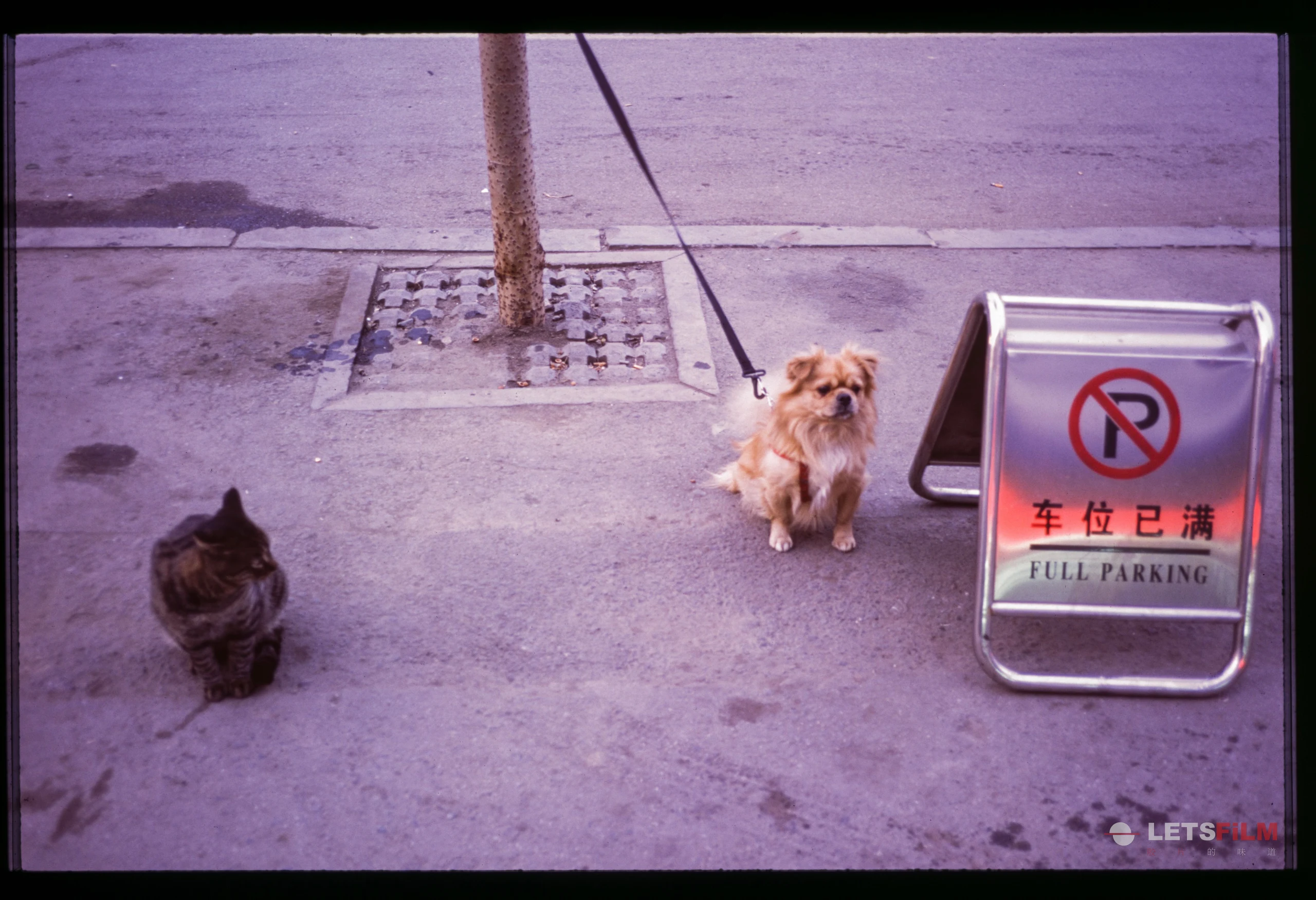 「暗房来信081」 小兄弟们 - 影像 2 | 设备: Nikon FM2, Nikon FM3A, Nikon Nikon 35Ti, Fujifilm Fujichrome Provia 100F