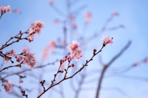 54个爱上摄影的理由