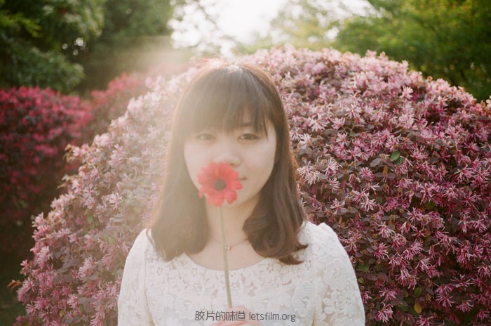那片花海，那片绿