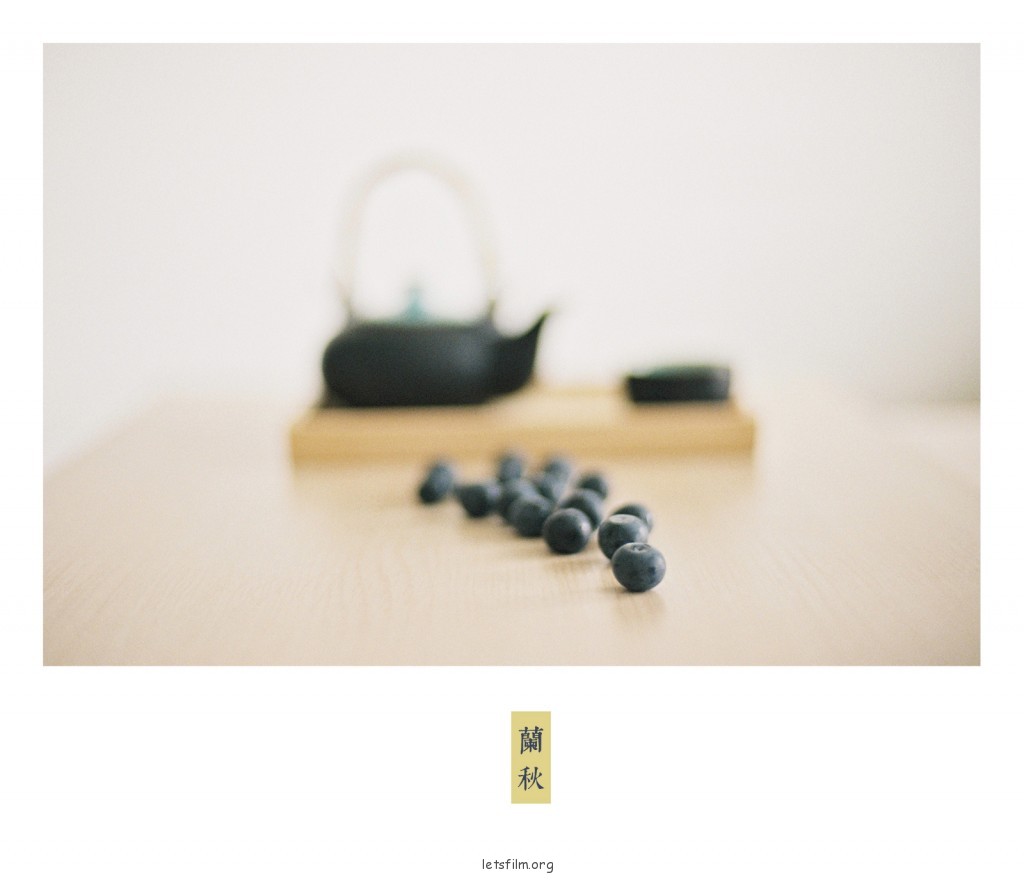 投稿作品No.101 菲林日记·兰秋