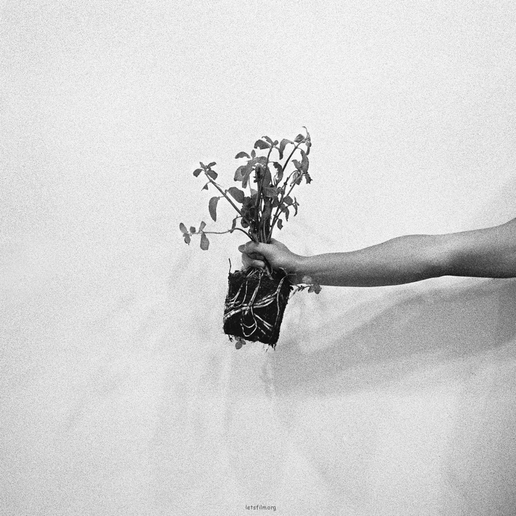 Sherry Huang的黑白作品