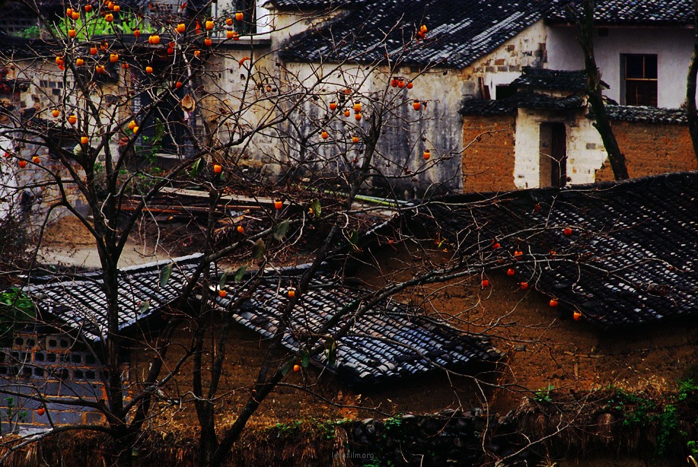 2007雨中宏村塔川--胶片里的回忆