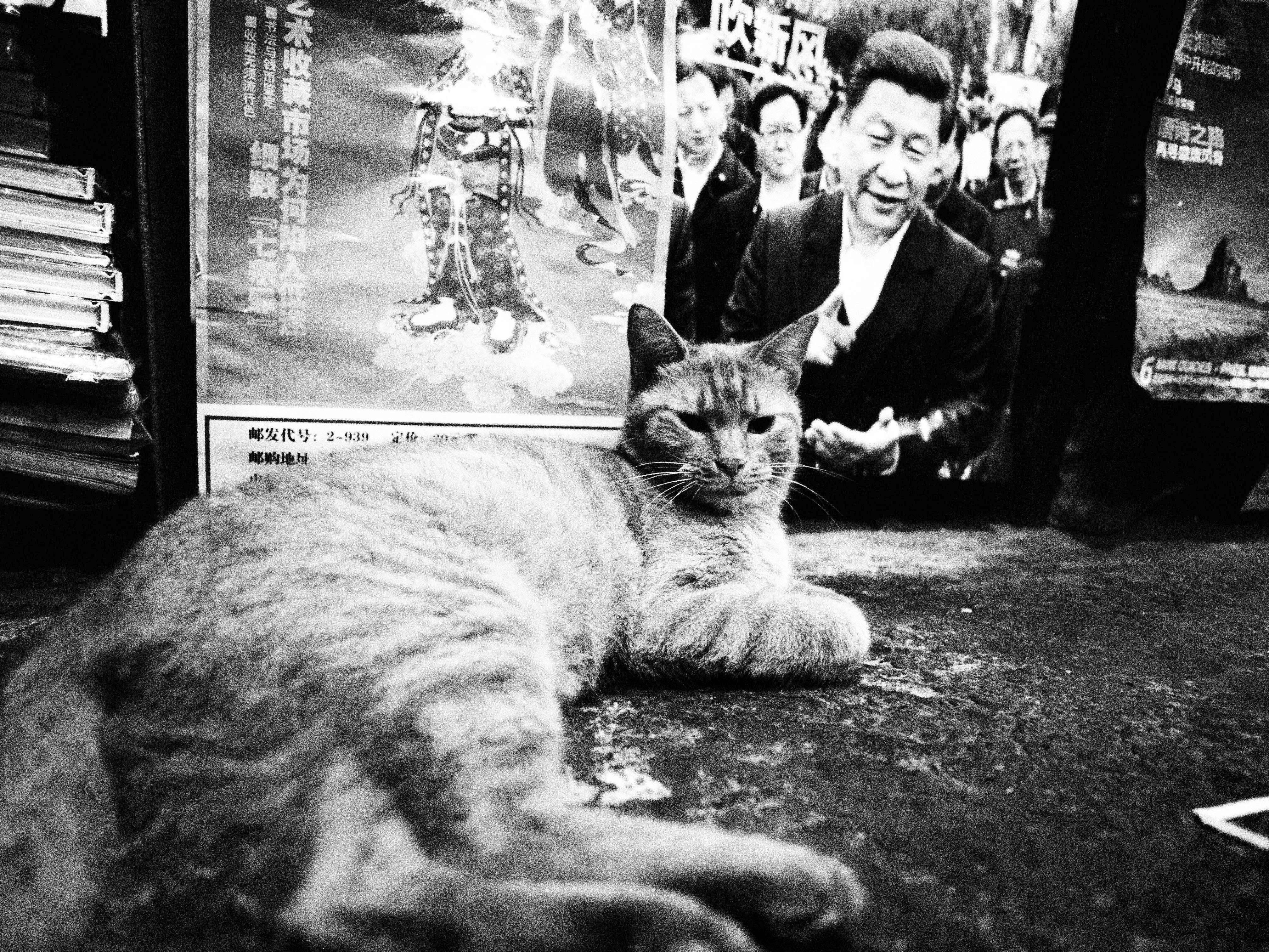 无题1.2.3