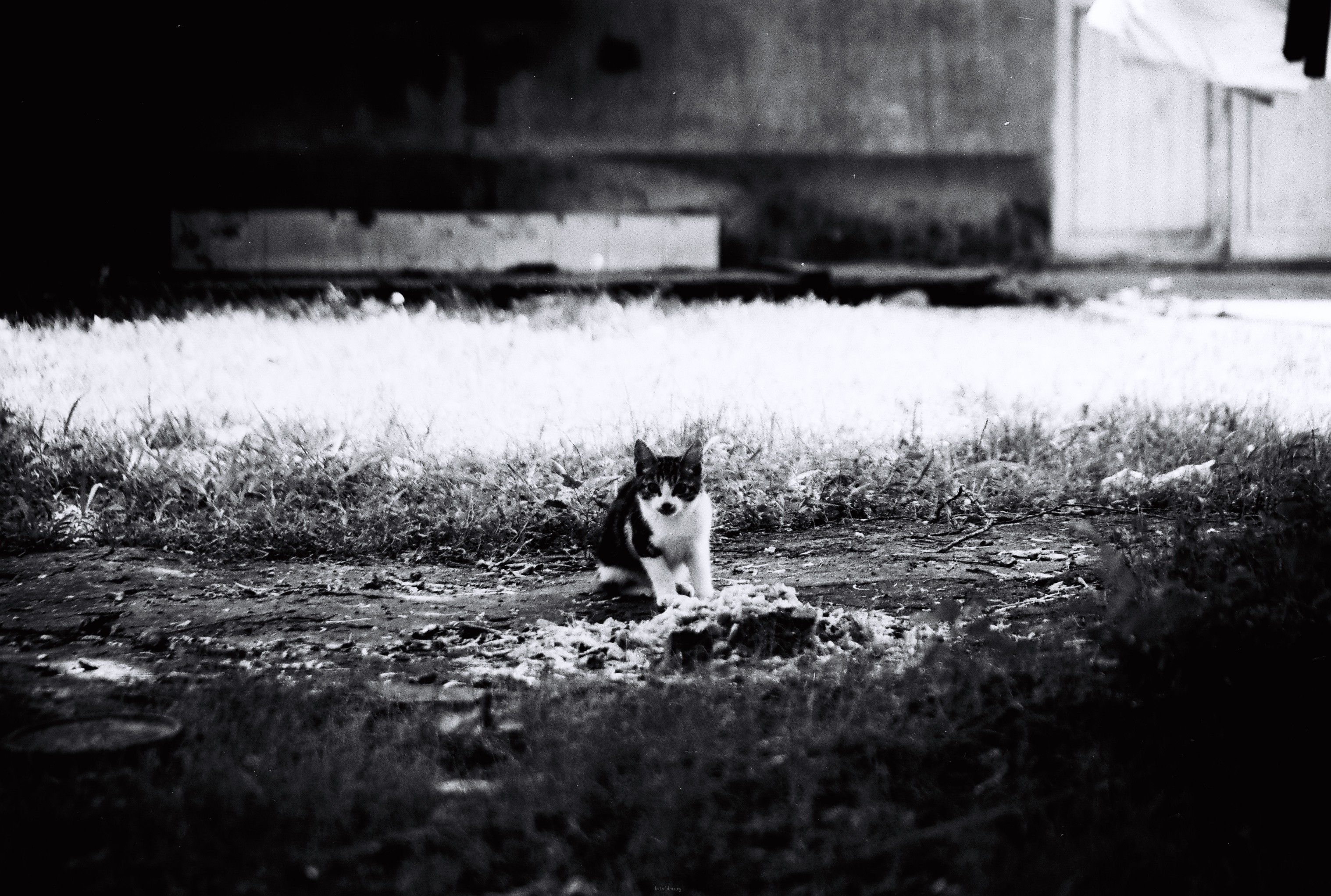 black&white_ecnu