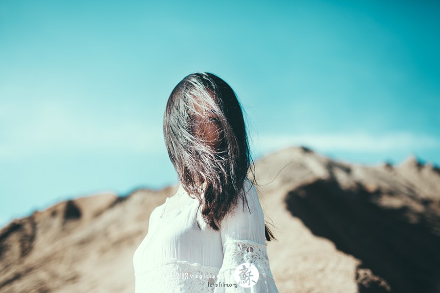 流浪的心-流浪的你