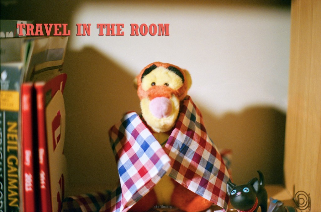 投稿作品No.378 TRAVEL IN TEH ROOM