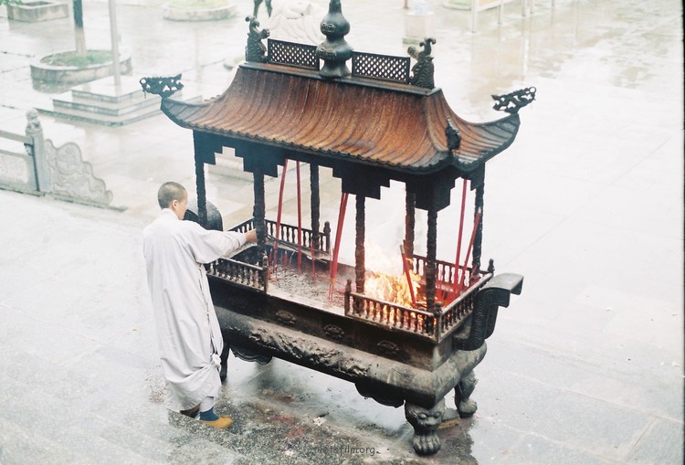 比丘尼——静心而美