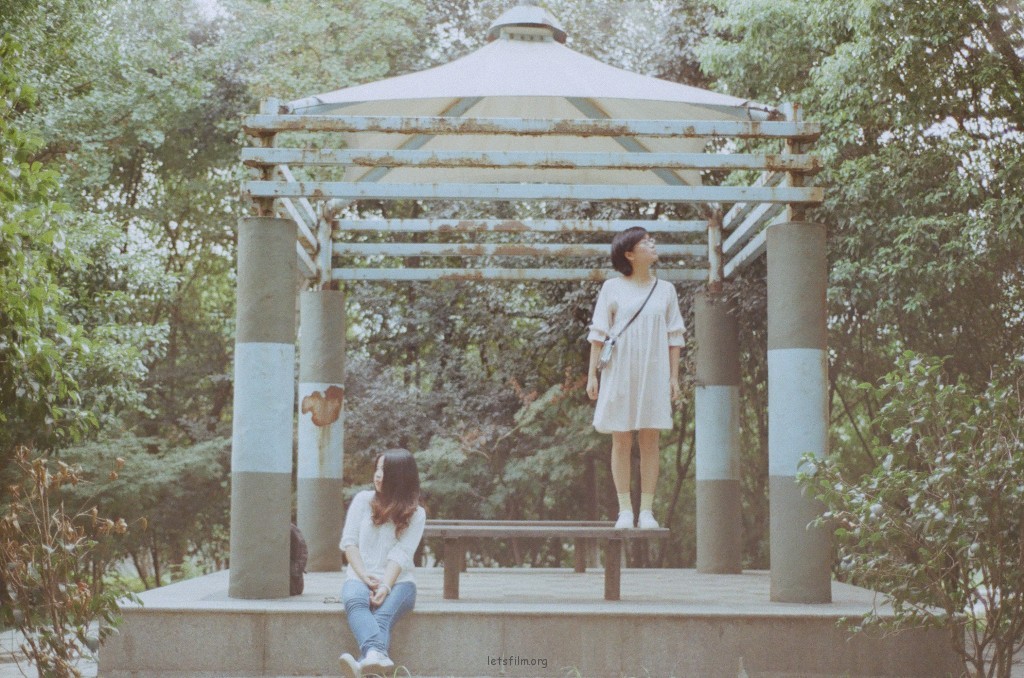 投稿作品No.491 树林里的游乐园