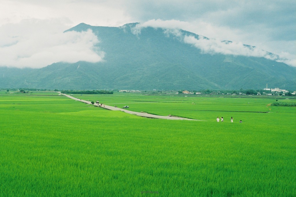 在路上No.008 池上伯朗大道，一个半小时的骑行距离
