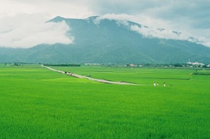 在路上No.008 池上伯朗大道，一个半小时的骑行距离