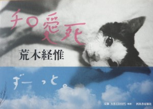 我爱奇洛