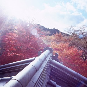 京都·红