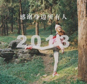 投稿作品No.980 再见2013，你好2014
