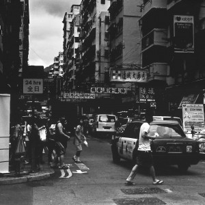 我城No.109 灰的森林