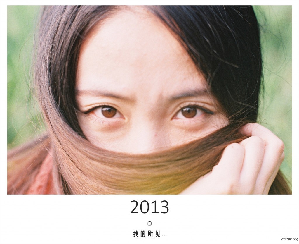 投稿作品No.978 2013我的所见
