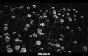 投稿作品No.867 夜 迷