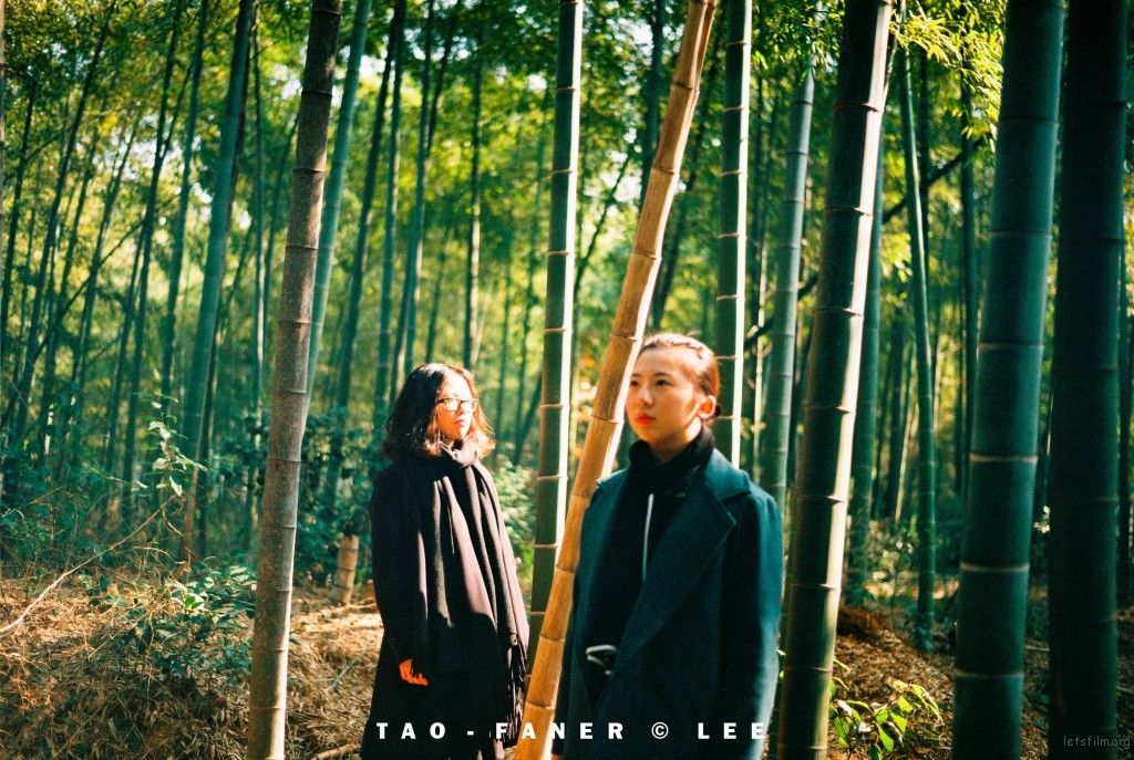 投稿作品No.973 红玫瑰与白玫瑰