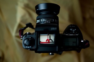 Nikon F5