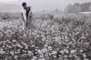 投稿作品No.1075 那时油菜花开