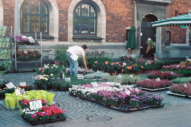 Fairy Tale of Denmark . Helsingør
