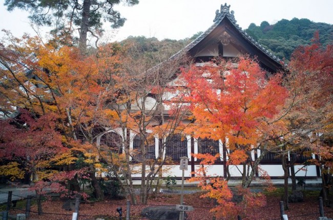 京都·銀閣、永觀堂