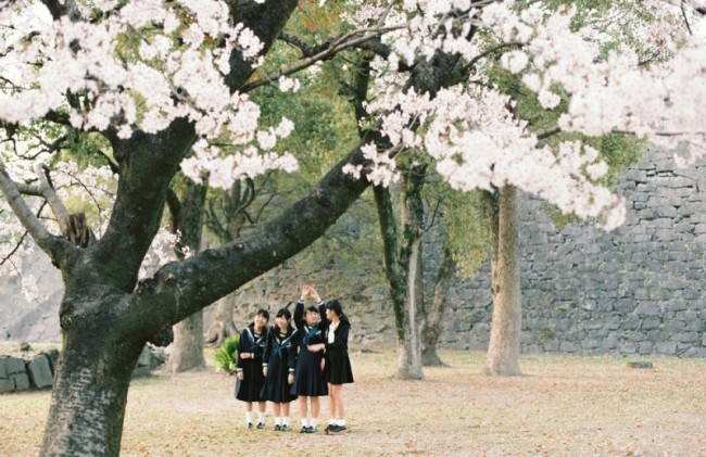 花見熊本. 2014春