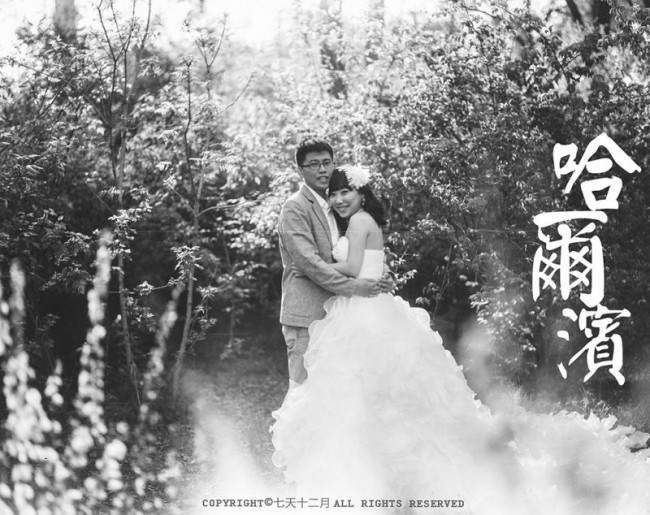 投稿作品No.1824 意外中的哈尔滨