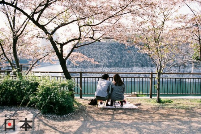 日本賞櫻之旅