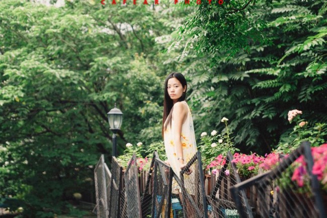 投稿作品No.2050 浅绿の院
