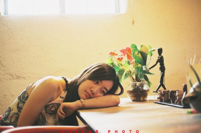 投稿作品No.2270 木凡