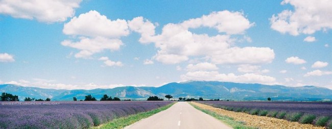 I♡Provence普罗旺斯
