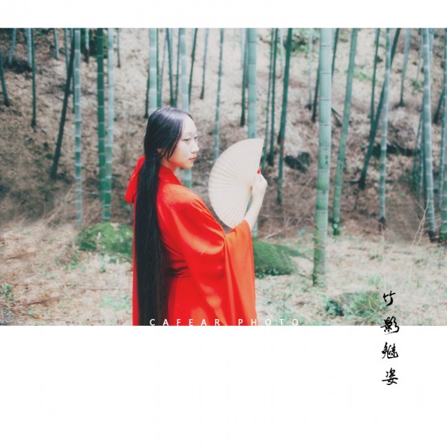 投稿作品No.2418 竹影魅姿