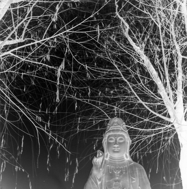 自拍