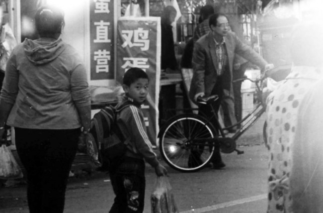 投稿作品No.3660 旁观者