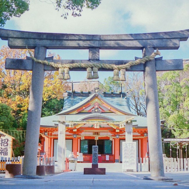 神社惊蛰（1）