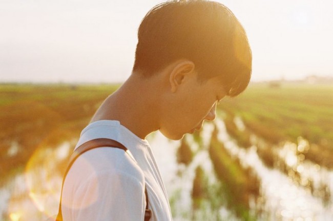 夏日记忆