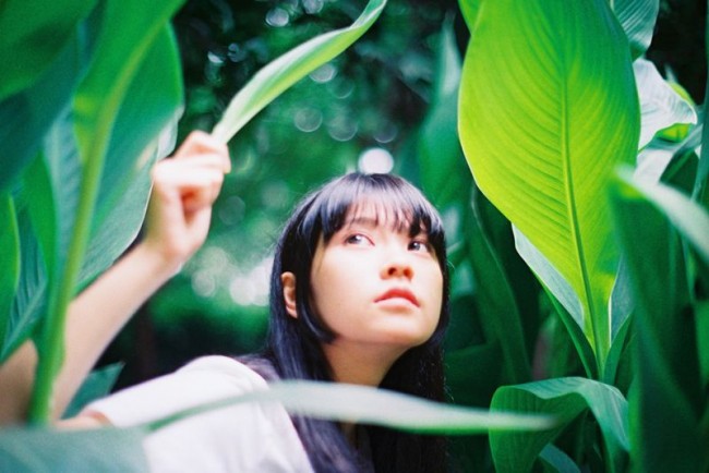 萝卜的夏天