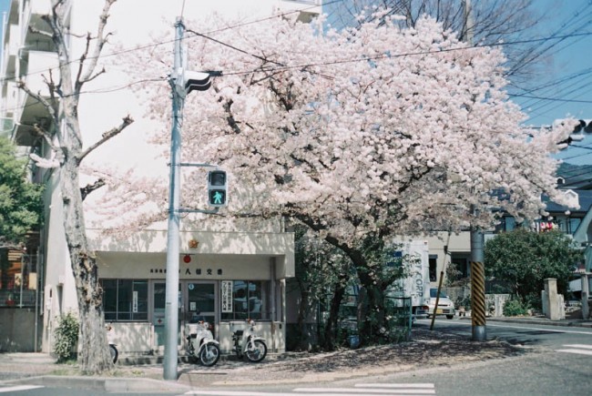 日和通信