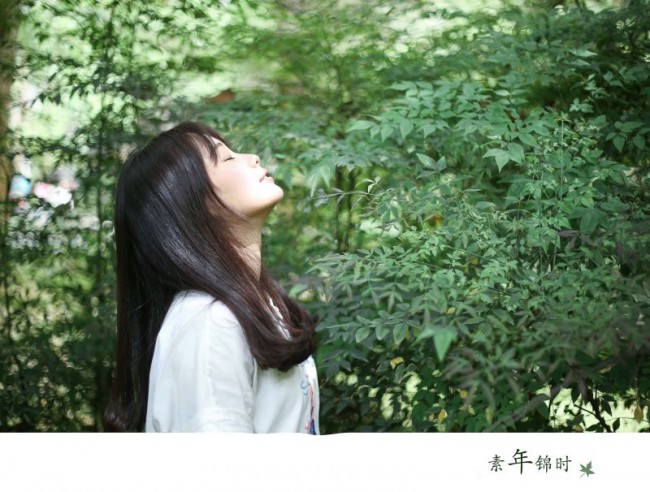 [7209] 夏了夏天