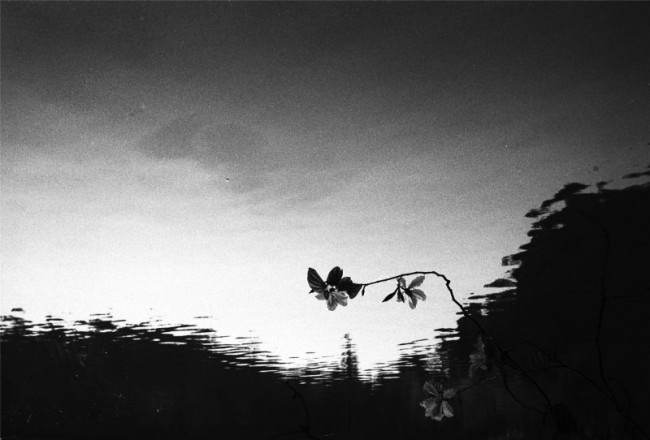 [7005] 另一种景观