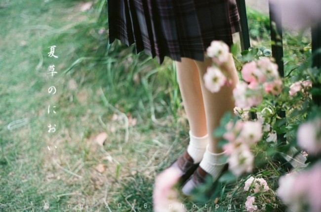 [7473] 夏草のにおい