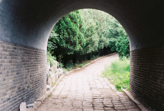 [8318] 北京之夏色