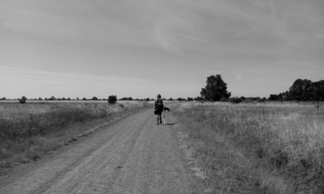 世界最美之一的徒步路线──Camino de Santiago 西班牙朝圣之路