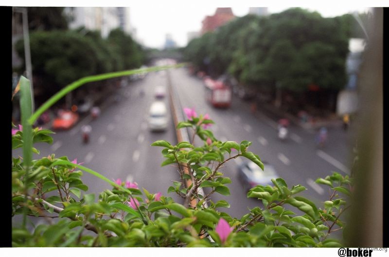 [14812] 绿城夏日——南宁南湖公园