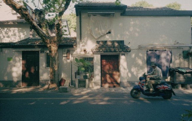 [15736] 这个夏天／生活的影子