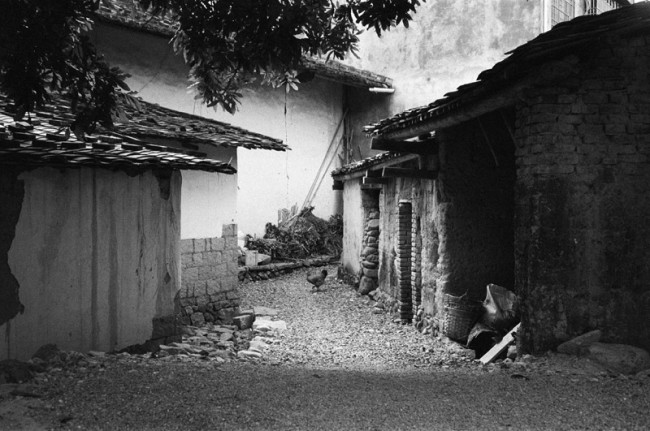 [16776] rollei 35s 黑白