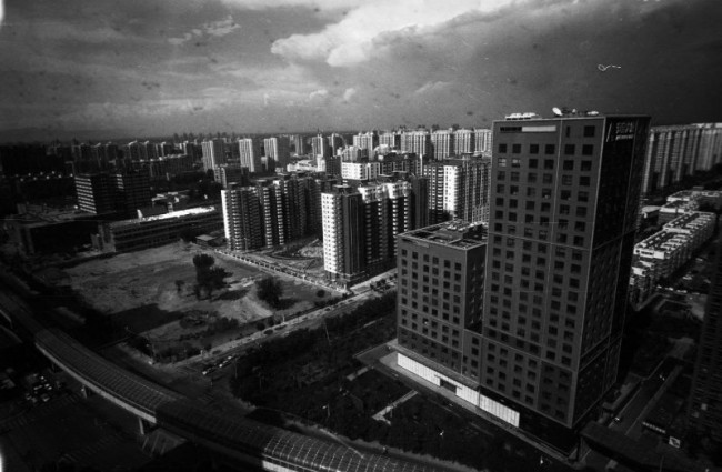 [18290] 发霉的城市