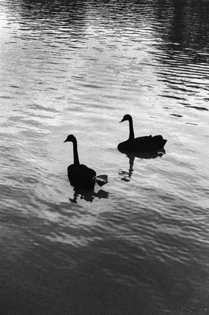 [18708] 迫冲