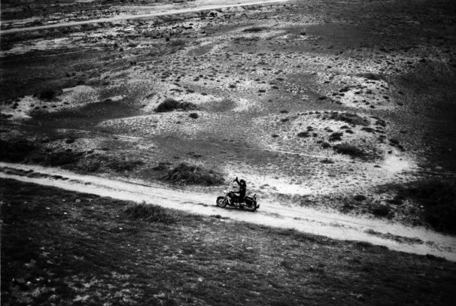[19622] 西夏